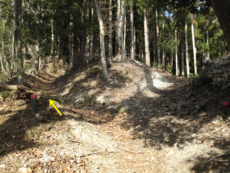 20160121hike (52)